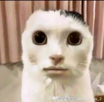 geot