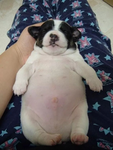 sleepy!.