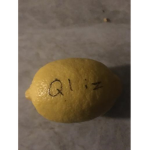 qliz Generated Content