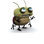 Afraid of bugs