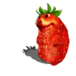 Chomberry