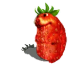Chomberry