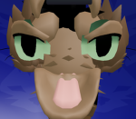 Furrys for people