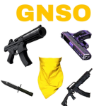 GNSO Sw2 group