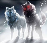 .:^:. Wolves' life fam .:^:.