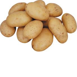 POTATO GAME GO BRRRR