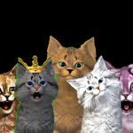 Cats_koshkas