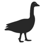Geese Games