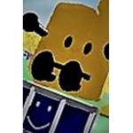 the bfdi wood group