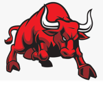 Chicago Raging Bulls