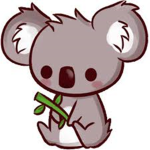 koala_Dev