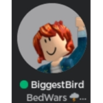 12233