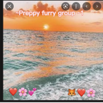 Preppy furry group !