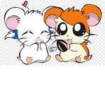 Hamsters ( blueberry and sunny)