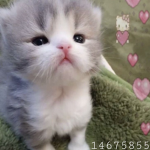 ・<$・
