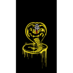 Cobra kai club