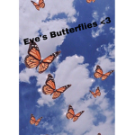 Eve’s Butterflies!<3