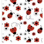 The loveliness ladybugs