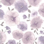 DaisyLavenders