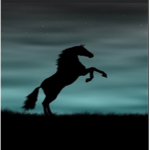 Horse heaven