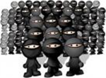 Double Ninja Clan