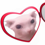 bingus fan club <3