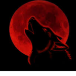 CrimsonNigth Studios