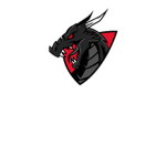 Team Flames