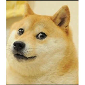 Doge Lisesi [Story]