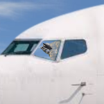 Aviation Turtles