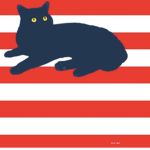 CT cats