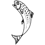 Floppy Fish Group!