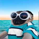 Nikolkaa_Me Team