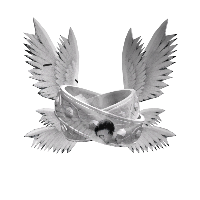 Hat wings