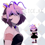 Alice/Ice's Group