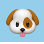 Pet lsland