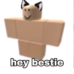 WHY DOES ROBLOX HAVE TAGS
