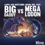 The Megalodon hungry Shark Evolution team