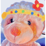 Rainbow Animals United