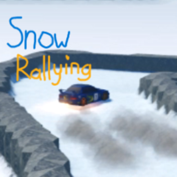 [V3.25] Snow Rallying