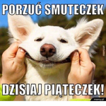 Hartkożyxxx