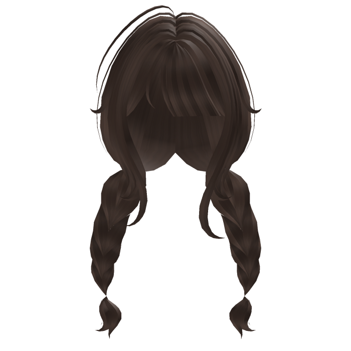 Cute Brown Braids