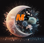 Midknight Studio's