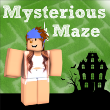 The Mysterious Maze ###