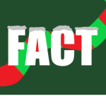 fact studio