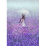 mikota
