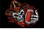 The FF Outlaws
