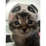 OUMA HEADS!!!!