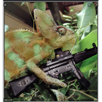 The Lizard Sniper Group