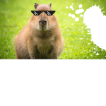 Lovecapybaras